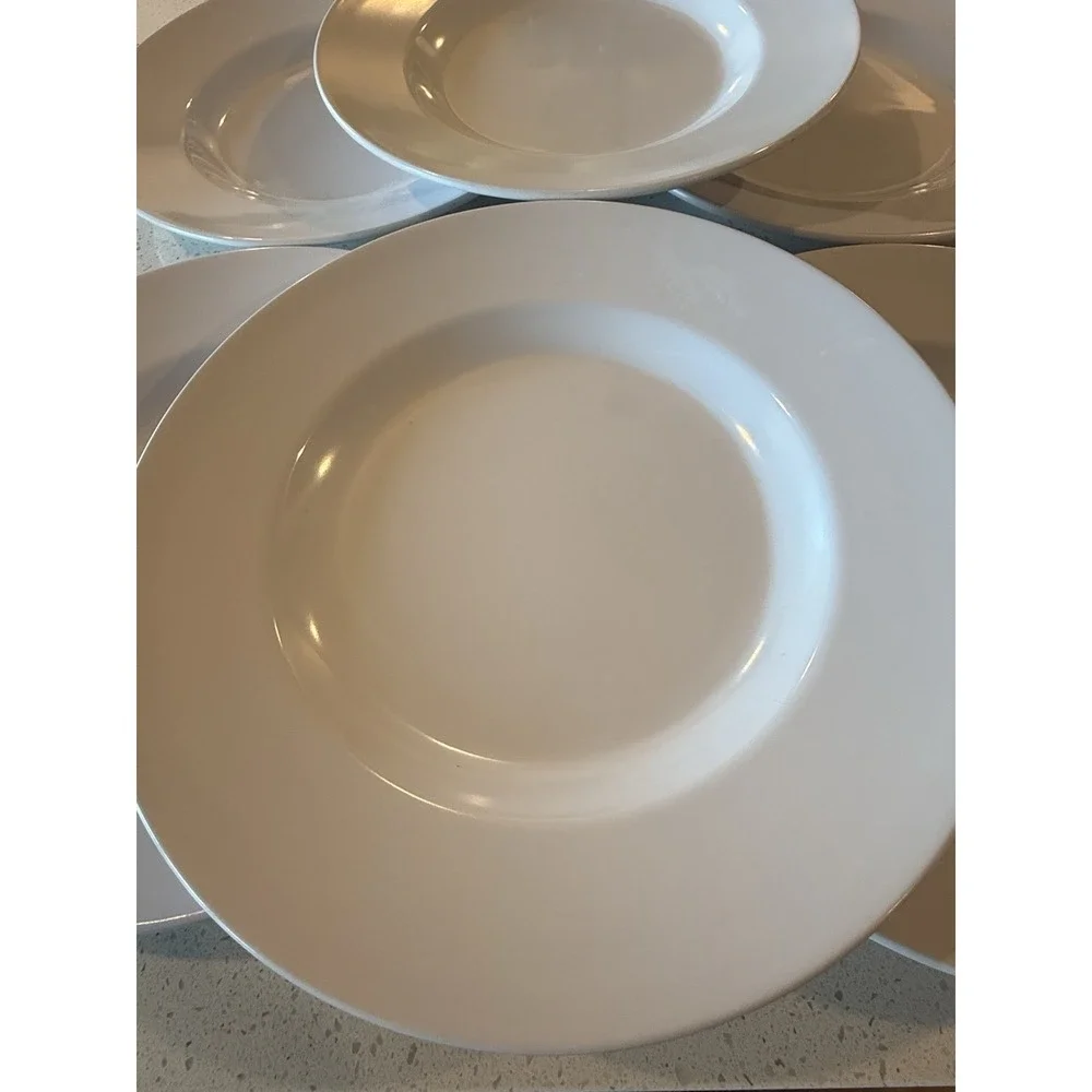 Pottery Barn Al Fresco Melamine Plates Set of 6